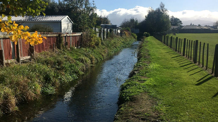 Chanel College Stream